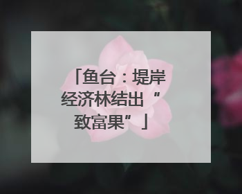鱼台：堤岸经济林结出“致富果”