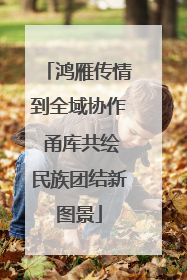 鸿雁传情到全域协作 甬库共绘民族团结新图景
