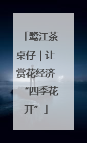 鹭江茶桌仔｜让赏花经济“四季花开”