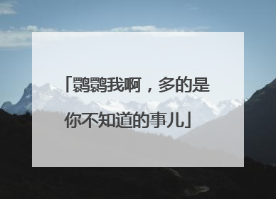 鹮鹮我啊，多的是你不知道的事儿