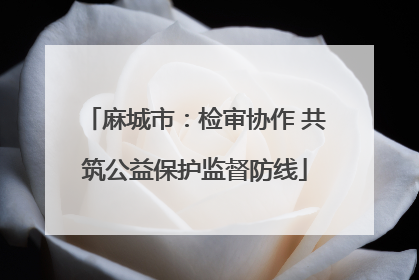 麻城市：检审协作 共筑公益保护监督防线