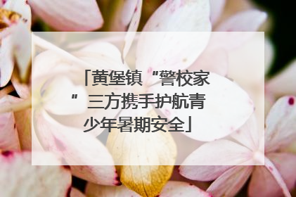黄堡镇“警校家”三方携手护航青少年暑期安全