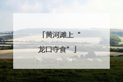 黄河滩上“龙口夺食”