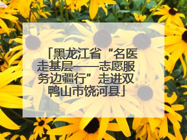 黑龙江省“名医走基层——志愿服务边疆行”走进双鸭山市饶河县
