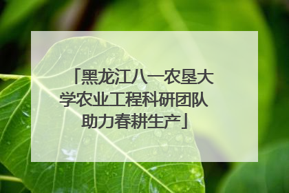 黑龙江八一农垦大学农业工程科研团队助力春耕生产
