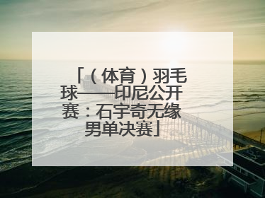 （体育）羽毛球——印尼公开赛：石宇奇无缘男单决赛