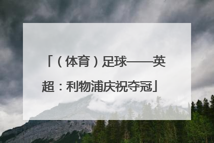 （体育）足球——英超：利物浦庆祝夺冠