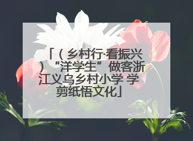（乡村行·看振兴）“洋学生”做客浙江义乌乡村小学 学剪纸悟文化