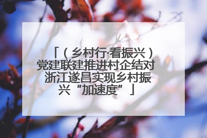 （乡村行·看振兴）党建联建推进村企结对 浙江遂昌实现乡村振兴“加速度”