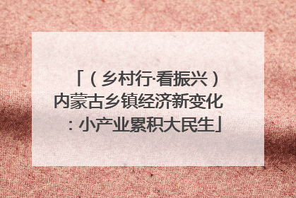 （乡村行·看振兴）内蒙古乡镇经济新变化：小产业累积大民生