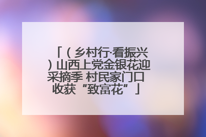 （乡村行·看振兴）山西上党金银花迎采摘季 村民家门口收获“致富花”