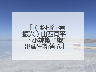 （乡村行·看振兴）山西高平：小辣椒“椒”出致富新答卷