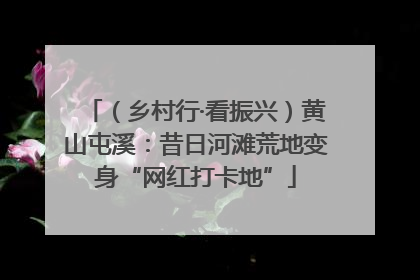 （乡村行·看振兴）黄山屯溪：昔日河滩荒地变身“网红打卡地”