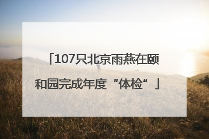 107只北京雨燕在颐和园完成年度“体检”