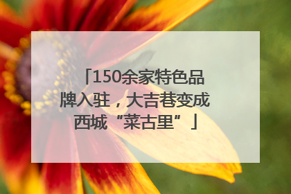 150余家特色品牌入驻，大吉巷变成西城“菜古里”