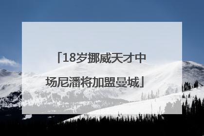 18岁挪威天才中场尼潘将加盟曼城