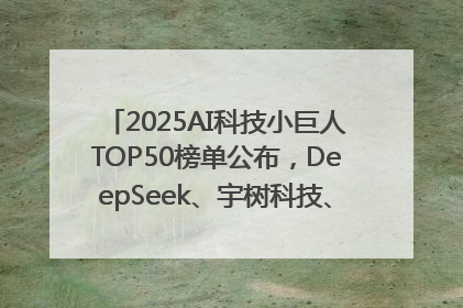 2025AI科技小巨人TOP50榜单公布，DeepSeek、宇树科技、蘑菇车联等企业荣誉上榜