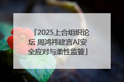 2025上合组织论坛 周鸿祎建言AI安全应对与柔性监管