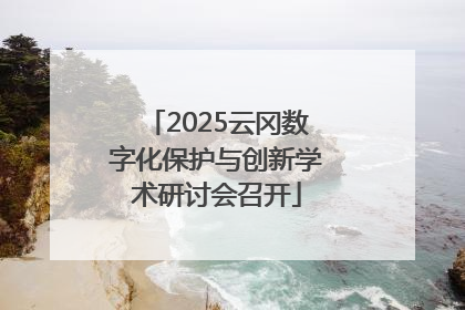 2025云冈数字化保护与创新学术研讨会召开