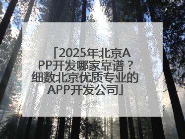 2025年北京APP开发哪家靠谱？细数北京优质专业的APP开发公司