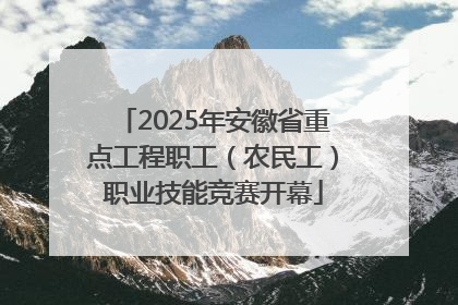 2025年安徽省重点工程职工（农民工）职业技能竞赛开幕