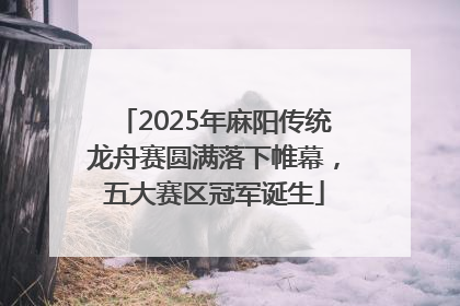 2025年麻阳传统龙舟赛圆满落下帷幕，五大赛区冠军诞生