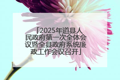 2025年道县人民政府第一次全体会议暨全县政府系统廉政工作会议召开