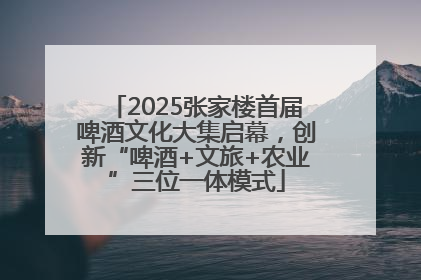 2025张家楼首届啤酒文化大集启幕，创新“啤酒+文旅+农业”三位一体模式