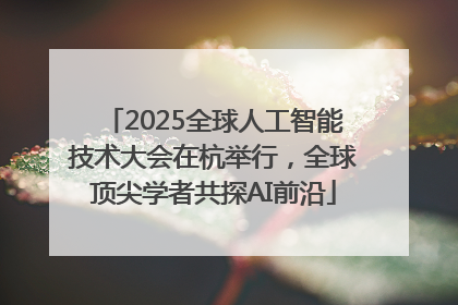 2025全球人工智能技术大会在杭举行，全球顶尖学者共探AI前沿