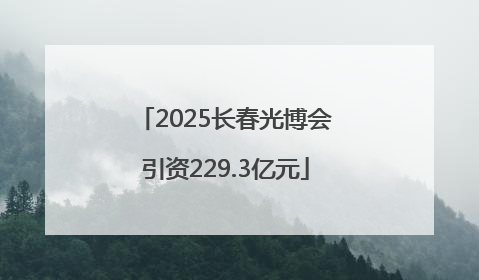 2025长春光博会引资229.3亿元