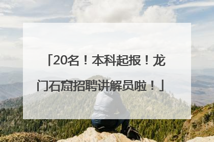 20名！本科起报！龙门石窟招聘讲解员啦！