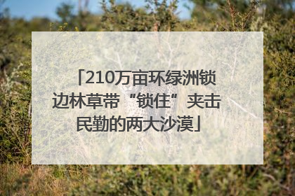 210万亩环绿洲锁边林草带“锁住”夹击民勤的两大沙漠