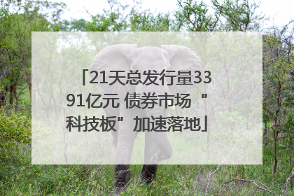 21天总发行量3391亿元 债券市场“科技板”加速落地