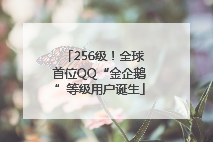 256级！全球首位QQ“金企鹅”等级用户诞生