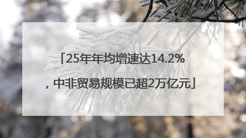 25年年均增速达14.2%，中非贸易规模已超2万亿元