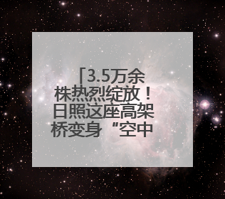 3.5万余株热烈绽放！日照这座高架桥变身“空中花廊”！