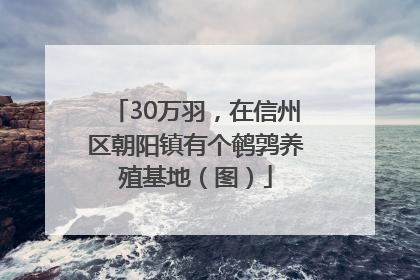 30万羽，在信州区朝阳镇有个鹌鹑养殖基地（图）