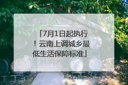 7月1日起执行！云南上调城乡最低生活保障标准