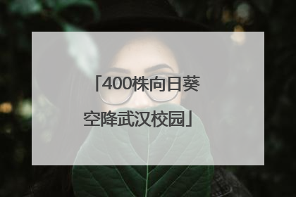 400株向日葵空降武汉校园
