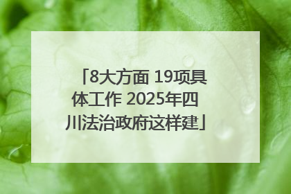 8大方面 19项具体工作 2025年四川法治政府这样建
