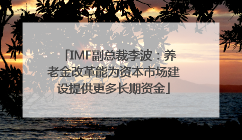 IMF副总裁李波：养老金改革能为资本市场建设提供更多长期资金
