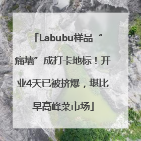 Labubu样品“痛墙”成打卡地标！开业4天已被挤爆，堪比早高峰菜市场
