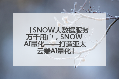 SNOW大数据服务万千用户，SNOW AI量化——打造亚太云端AI量化